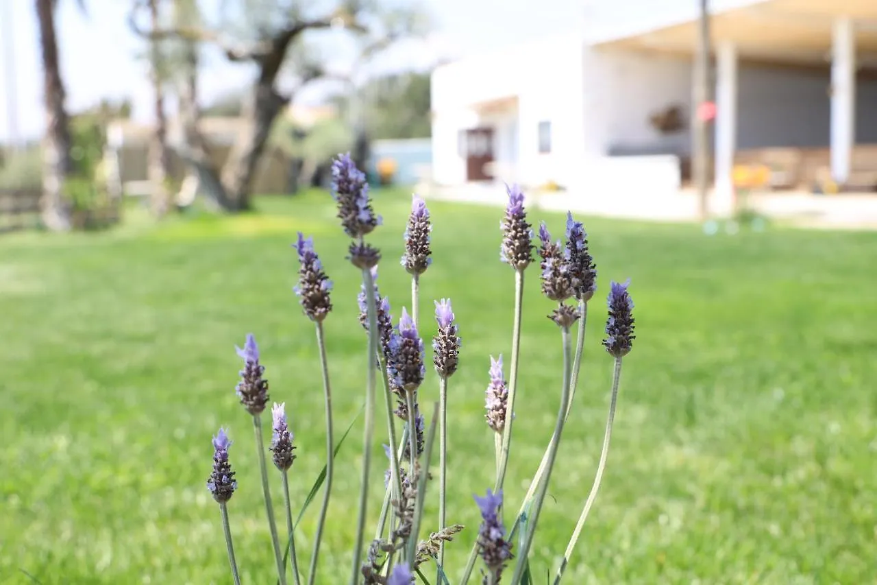 La Finestra Del Delta Guest House L'Ampolla Spain